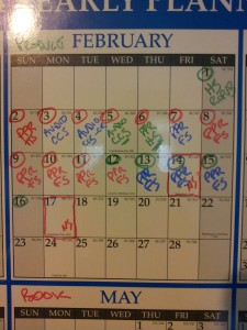 Mid Month February